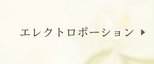 エレクトロポーション